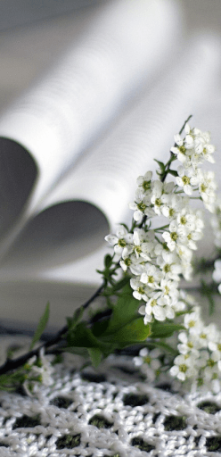 Über Uns / Wer wir sind / Unsere Kontaktdaten