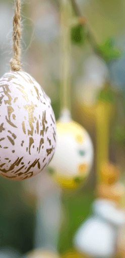 Über Uns / Wer wir sind / Unsere Kontaktdaten