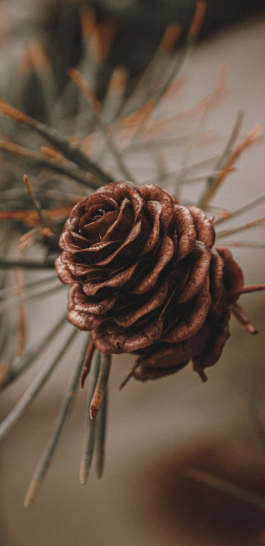 Über Uns / Wer wir sind / Unsere Kontaktdaten