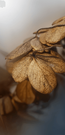 Über Uns / Wer wir sind / Unsere Kontaktdaten